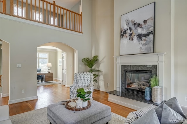 living room featuring a high ceiling and light hardwood / wood-style flooring