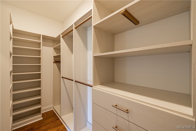 spacious closet featuring dark hardwood / wood-style floors