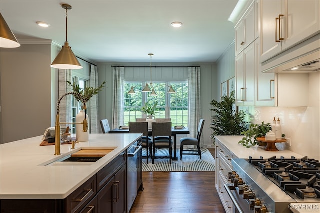 kitchen with appliances with stainless steel finishes, hanging light fixtures, sink, and dark hardwood / wood-style floors