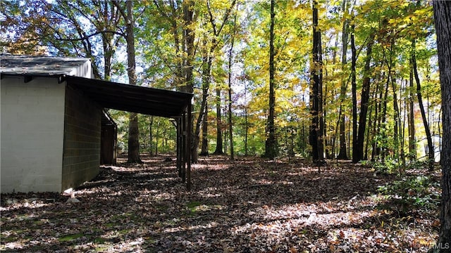 view of local wilderness