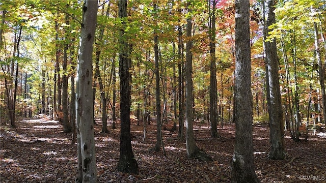 view of local wilderness