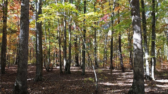 view of landscape