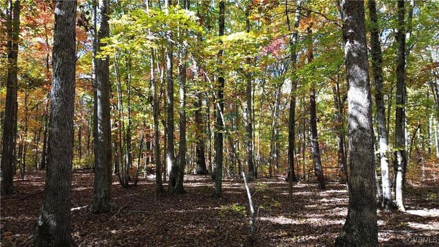 1367 S Constitution Rte, Dillwyn, VA 23936 - photo 13