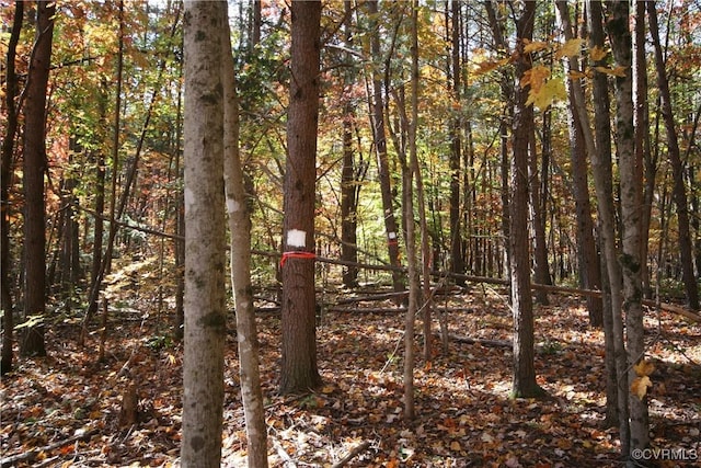 1367 S Constitution Rte, Dillwyn, VA 23936 - photo 22