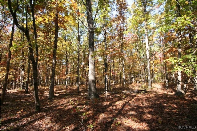 1367 S Constitution Rte, Dillwyn, VA 23936 - photo 23