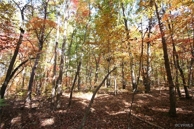 view of landscape