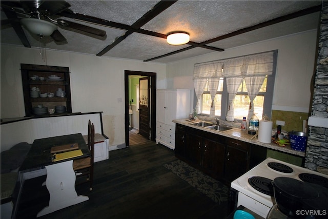 kitchen featuring dark brown cabinetry, a textured ceiling, sink, dark hardwood / wood-style floors, and white range with electric stovetop