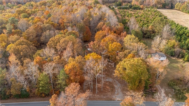 bird's eye view