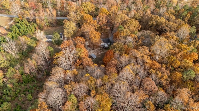 aerial view