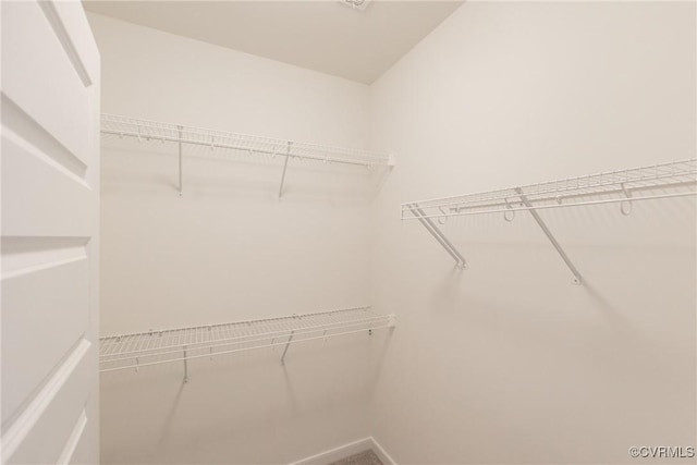view of walk in closet