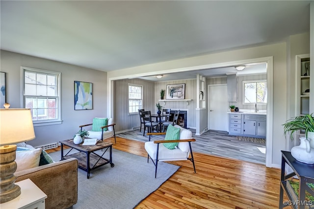 living room featuring light wood-type flooring and a healthy amount of sunlight