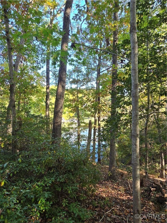 view of water feature