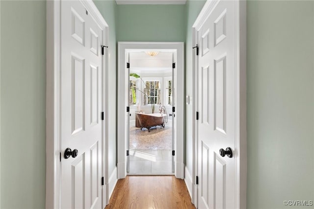1300 Sabot Creek Ct, Manakin Sabot, VA 23103 - hall with light wood-style flooring and baseboards