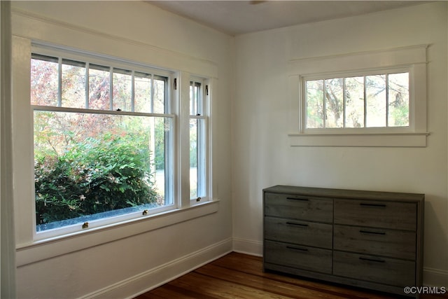 interior space with a healthy amount of sunlight and dark hardwood / wood-style floors