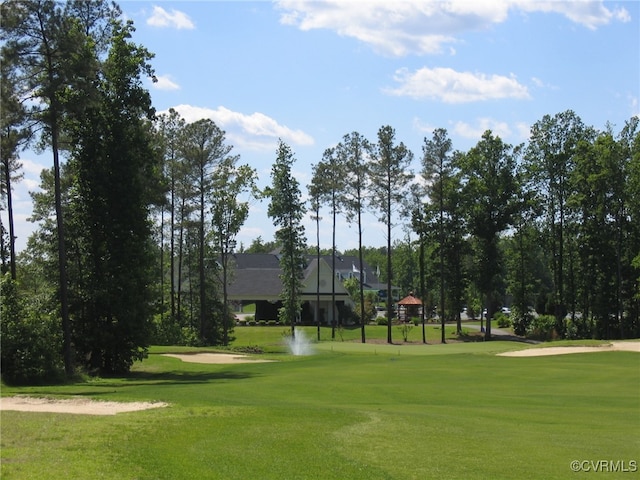 view of home's community with a yard