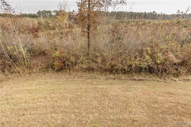 view of local wilderness