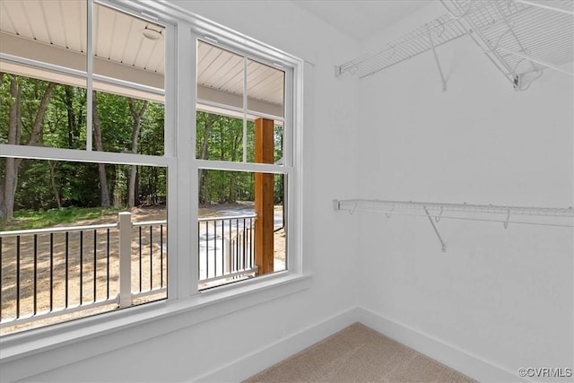walk in closet with carpet flooring