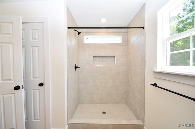 16159 W Patrick Henry Rd, Montpelier, VA 23192 - full bath featuring a tile shower