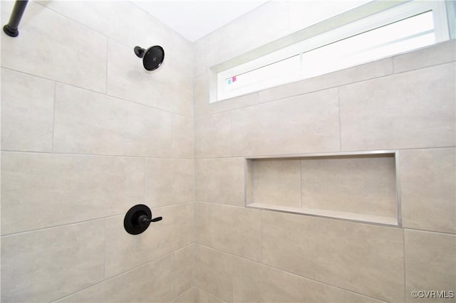 16159 W Patrick Henry Rd, Montpelier, VA 23192 - bathroom view of tiled shower