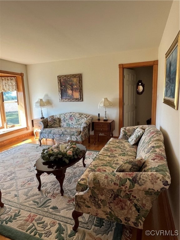 living room featuring hardwood / wood-style flooring