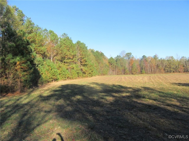 87-15 Troublefield Rd, Stony Creek VA, 23882 land for sale