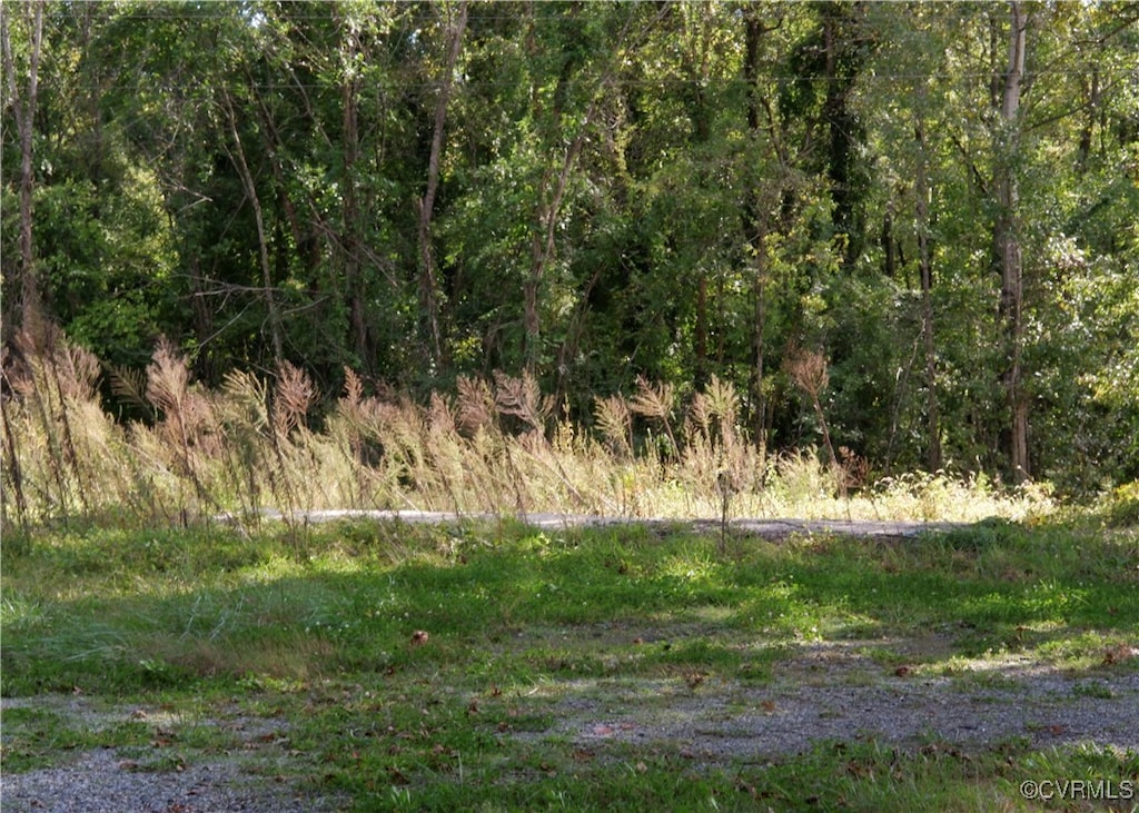 15375 Beaverdam School Rd, Beaverdam, VA 23015
