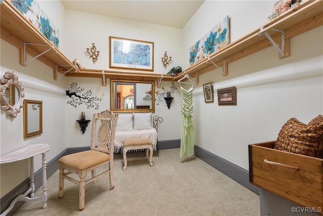 sitting room featuring carpet flooring