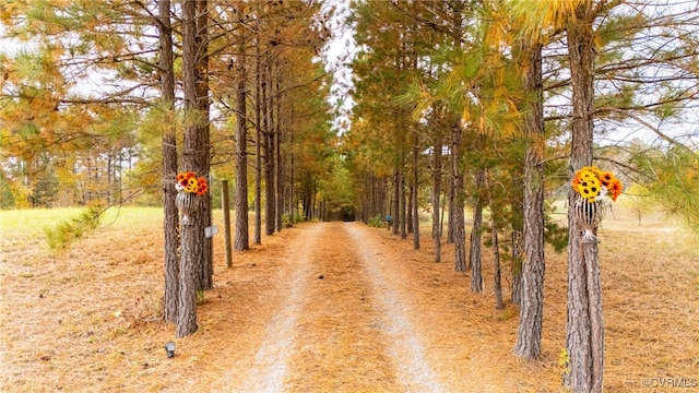 view of road