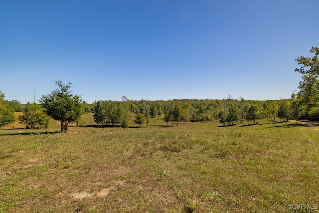 view of local wilderness with a rural view