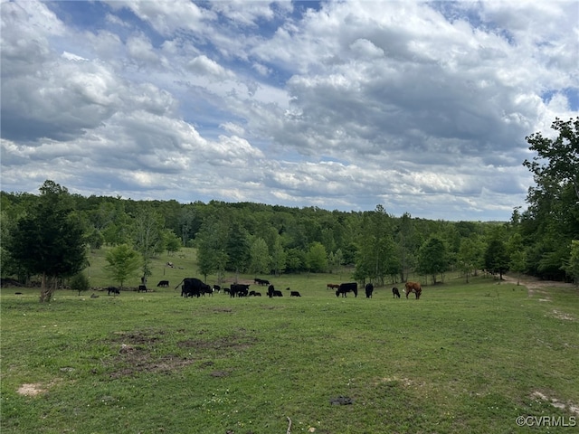 view of landscape featuring a rural view