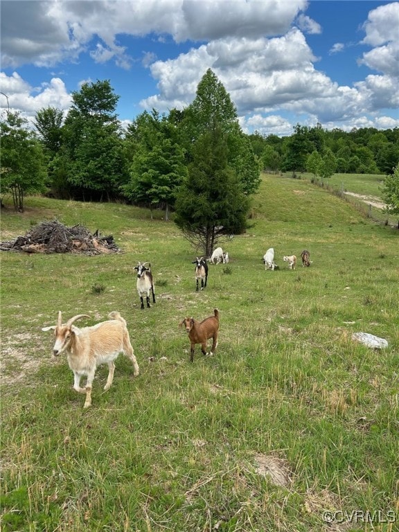 view of yard with a rural view