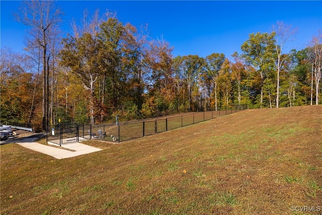 10525 Stony Bluff Dr Unit 108, Ashland, VA 23005 - view of yard
