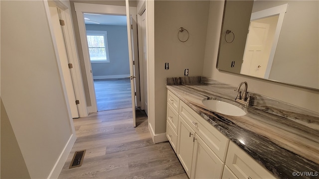 bathroom featuring wood-type flooring and vanity