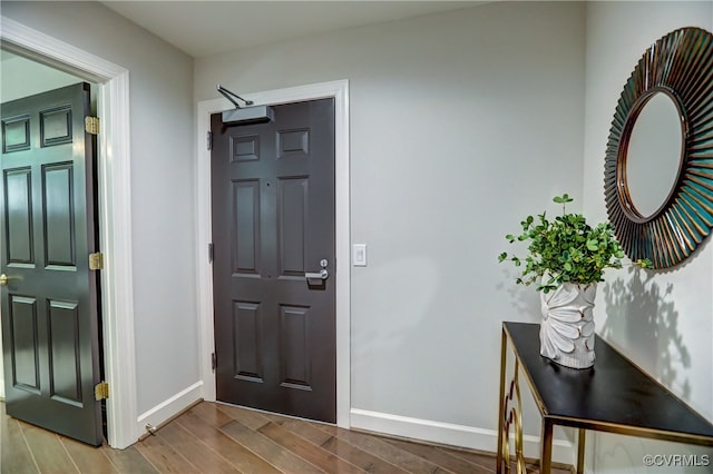 entryway featuring wood-type flooring