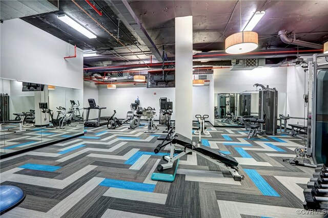 workout area featuring carpet