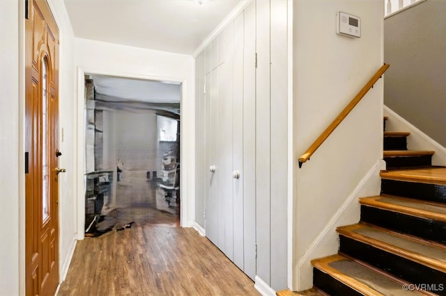 hallway featuring crown molding and wood-type flooring