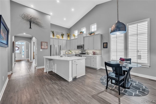 kitchen with high vaulted ceiling, a wealth of natural light, a kitchen island with sink, and stainless steel appliances