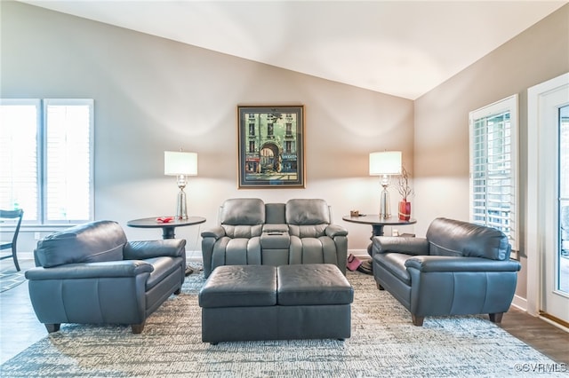 living room with vaulted ceiling and wood-type flooring