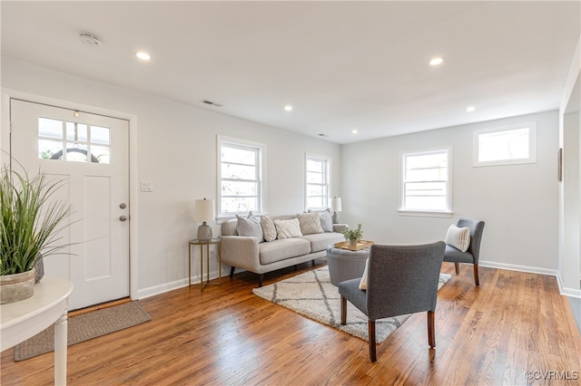 living room featuring a wealth of natural light and wood-type flooring