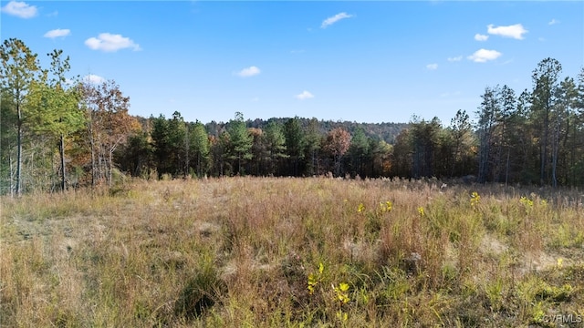 view of local wilderness