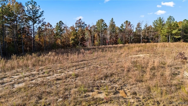 view of local wilderness