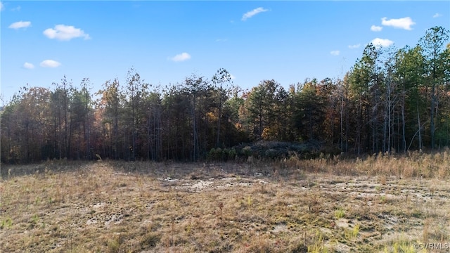 view of local wilderness