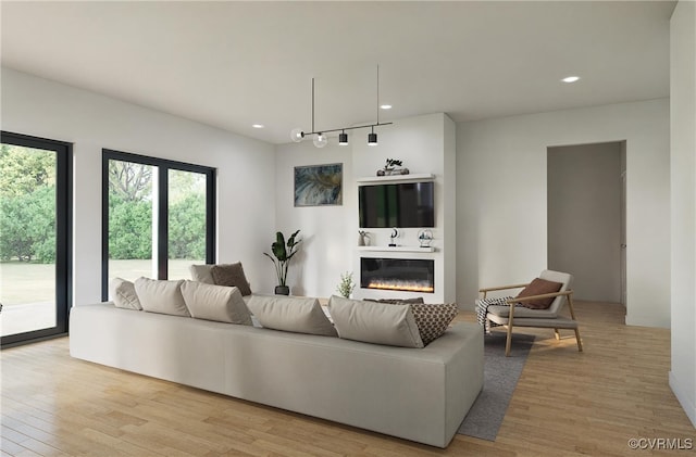 living room with rail lighting and light hardwood / wood-style floors