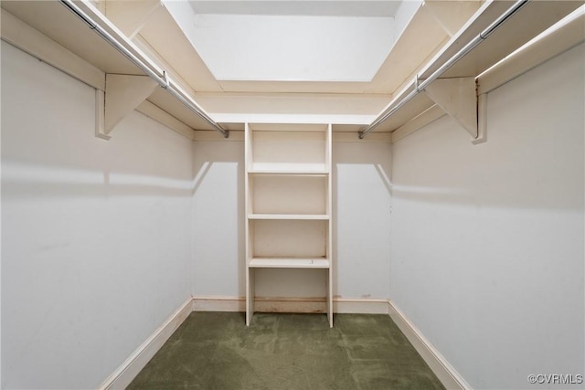 walk in closet with dark colored carpet