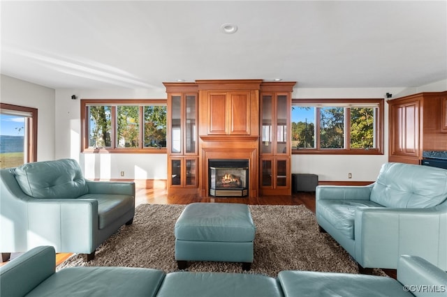 living room with a large fireplace, dark hardwood / wood-style floors, and a wealth of natural light