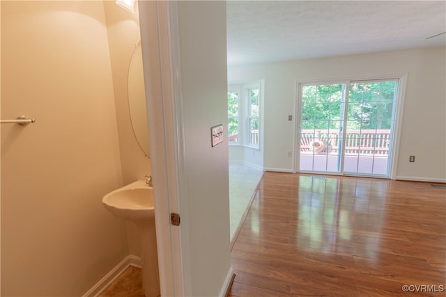 bathroom featuring wood-type flooring