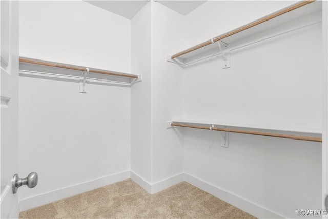 spacious closet with carpet floors