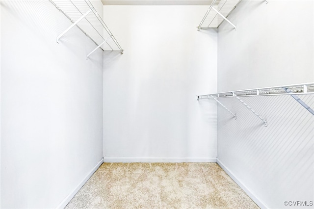 spacious closet featuring light colored carpet