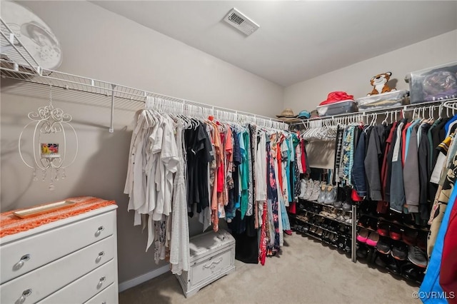 spacious closet featuring carpet flooring