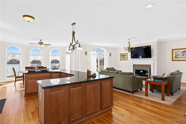 kitchen with ornamental molding, light hardwood / wood-style floors, hanging light fixtures, and a healthy amount of sunlight